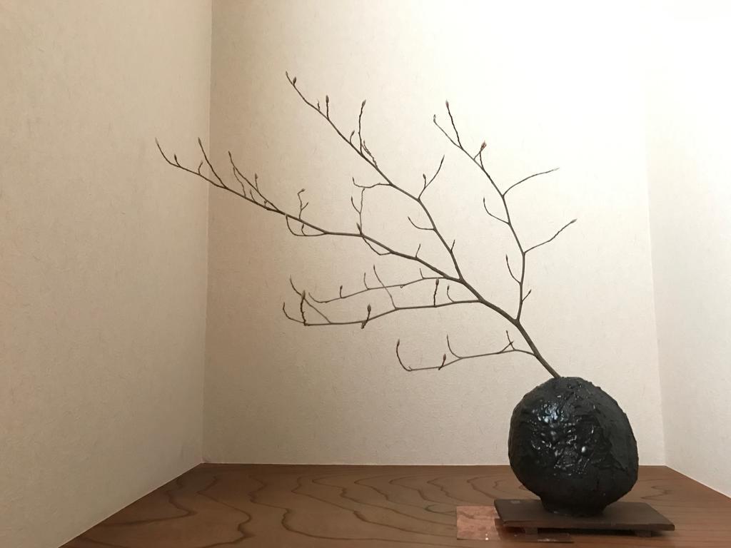 Sayama Aesthetics School Hotel Osakasayama Buitenkant foto